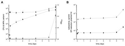 Resuscitation of Dormant “Non-culturable” Mycobacterium tuberculosis Is Characterized by Immediate Transcriptional Burst